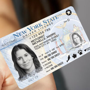 New York Driver's License