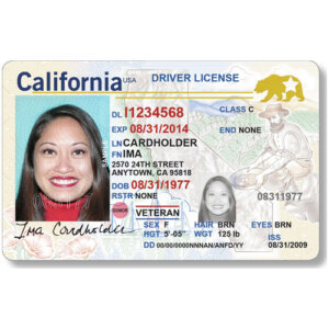 California Driver's License