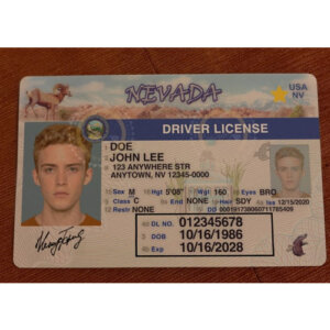 Las Vegas Driver's License
