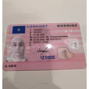 Swedish Driver's License